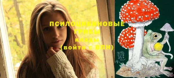 крисы Алзамай