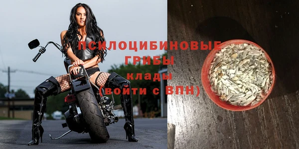 гашик Алексеевка